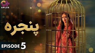 Pakistani Drama  Pinjra  Episode 5  Aplus Gold  Yumna Zaidi Nauman Aijaz  CZ1O [upl. by Bora98]