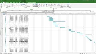 How to add a milestone in Microsoft Project [upl. by Dawkins]