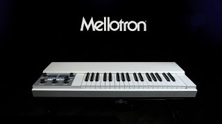 Mellotron M4000DMini White  Gear4music demo [upl. by Lucius]