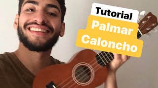 Como tocar PALMAR de CALONCHO en UKELELE  TUTORIAL palmar CALONCHO ukelele acordes y letra [upl. by Ellennod]