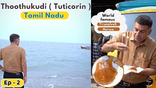 EP2 Famous Halwa of Tirunelveli  Nellaiappar Temple Tuticorin  Kanyakumari to Rameshwaram [upl. by Nimsay970]