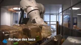 Réalisation dune ligne de lavage robotisée de bacs en plastique pour lInstitut Pasteur [upl. by Olivette]