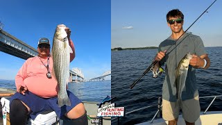 Chesapeake Bay Fishing Report June 29th 2024 [upl. by Musette]