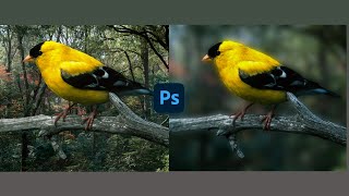 increase image quality  how to BLUR background in photoshop [upl. by Raychel]