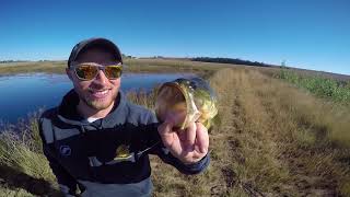 Winter Bass fishing  South Africa [upl. by Rudyard]