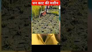 Rice harvesting machinetechniquetechnology OMG machine Amazing shorts shortvideo [upl. by Namreg]