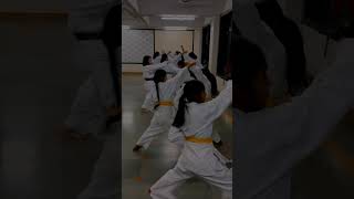 Karate Classes For Girls karate girlspower karatecoach selfdefenseclass karatetaekwondo girls [upl. by Starlin]