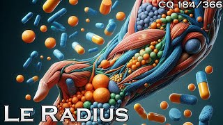 Anatomie du Radius  CQ184 [upl. by Eellac94]