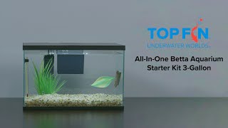 Top Fin AllInOne Betta Fishtank Aquarium Kit Setup  YouTube [upl. by Nauqed]