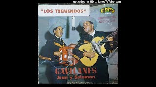 Los Tremendos Gavilanes  Mi Negra Navidad Disco Completo [upl. by Leihcey27]