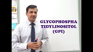 Glycophosphatidylinositol GPI  A Quick Review [upl. by Aerdnaxela]