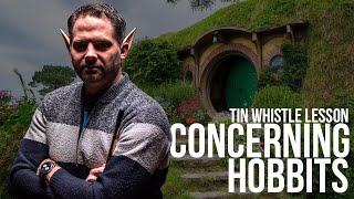 Concerning Hobbits  Irish Tin Whistle Lord of the Rings [upl. by Affrica]