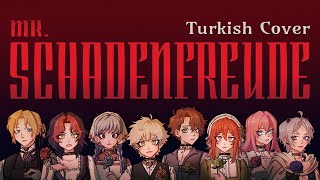 Mr Schadenfreude Turkish Cover [upl. by Kippie312]