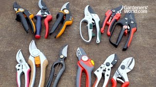 Secateurs  Buyers Guide [upl. by Fredia670]