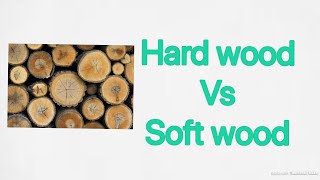 HARDWOOD VS SOFT WOOD IN HINDI [upl. by Edmead791]