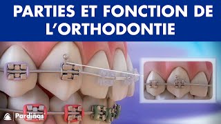 Appareil dentaire – Parties et fonction de l’orthodontie © [upl. by Kandy]