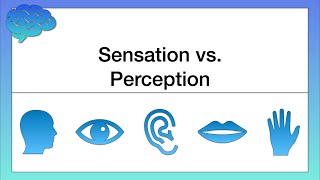 What’s the Difference between Sensation and Perception [upl. by Saturday]