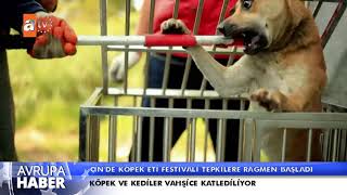 Koronavirüs salgınına rağmen Çinde köpek eti festivali başladı [upl. by Ritter]