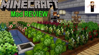 Pams HarvestCraft mod Review  La mejor comida de Minecraft  Minercaft ESPAÑOL 1122 [upl. by Neelhtak]