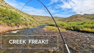 This FLY catches the BIGGEST trout in the stream 9wk truck camping road trip WYIDMT p4 [upl. by Fabiano]