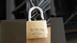 Tri circle 266 padlock [upl. by Ynaittirb894]