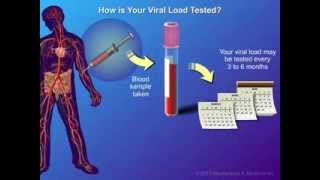 Viral Load and Monitoring [upl. by Araccat]