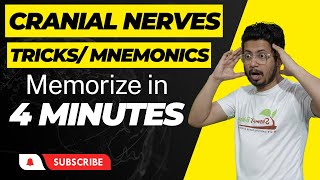 Remember cranial nerves mnemonic  cranial nerve made easy  tricks to remember cranial nerves [upl. by Neona]