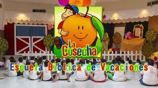 La Cosecha  Escuela Biblica de Vacaciones 2013 [upl. by Kalvin]