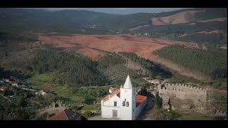 Monocultura de eucalipto Quinta da Boiça Penela Portugal abril de 2024 [upl. by Dorelle107]