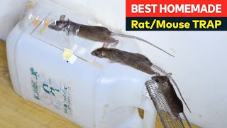 Easy mouse trap  Rat Traps  Best Homemade Mousetrap Ideas from Plastic Can [upl. by Takeo]