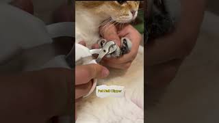 Pet Nail Clipper Link is on bio cat petkit petsuppliesplus [upl. by Opiak]