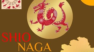 Ramalan Shio NAGA bulan Agustus [upl. by Tabb107]