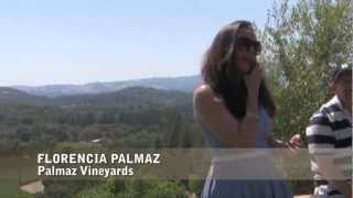 Palmaz Vineyards Winery in Napa [upl. by Luaped988]