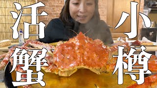 【北海道・小樽市】三角市場「恵比寿桜」で活きた巨大タラバ蟹を食べる！豪華海鮮丼、響21年も飲んでハッピーすぎる最高の一日！観光はもちろん北海道民にも食べて欲しい絶品活蟹💖【飯テロ注意報発令です！】 [upl. by Enileme867]