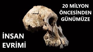 Homo Sapiensin Yolculuğu 20 milyon Önceden Günümüze TArih Belgeselleri [upl. by Roberson737]