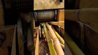 Sugarcane Jusicer viralvideo kisan shortsyoutube shortfeed sugarcane subscribe machine [upl. by Eibber]