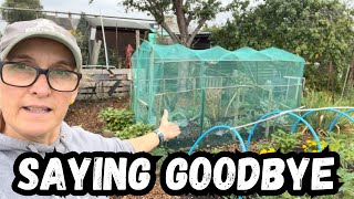 September Allotment Update  Exciting New Polytunnel Installation [upl. by Nnaaihtnyc]