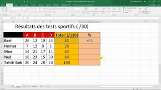 Calculer un POURCENTAGE avec EXCEL Cours Office en français [upl. by Naujyt942]