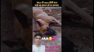 Mai hau tu bujhbu tu Mai ke dediya😢😢😭😭😭🙏🙏🙏 cutebaby​ viral​ shorts​ sad dog​ shorts​ [upl. by Vaientina185]