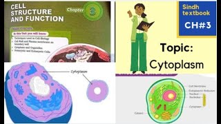 Cytoplasm l Cytosol l Cell structure and function l XI biology [upl. by Nylesoj188]