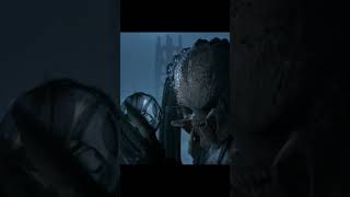 Predator Devourers Dreams Of Sizzling Xenomorph Stew And Vegetables edit avp shorts [upl. by Schwejda593]