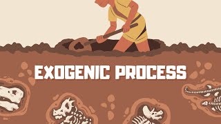 The Mystery Of Exogenic Processes Unveiled [upl. by Sartin26]