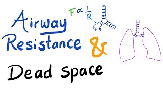 Airway Resistance amp Dead Space  Respiratory Physiology [upl. by Maia449]