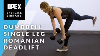 Dumbbell Single Leg Romanian Deadlift  OPEX Exercise Library [upl. by Eidlog]