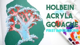 Holbein Acryla Gouache · First Impressions [upl. by Ephraim602]