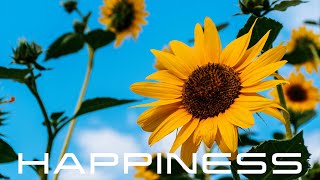 Rediscover Happiness  Powerful Subliminal to Overcome Depression [upl. by Arratoon931]