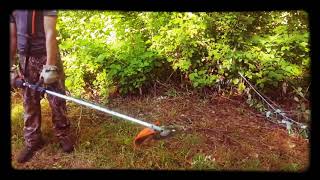 STIHL FS111R Trimmer A bad day to be brush or a small tree [upl. by Eikcaj]