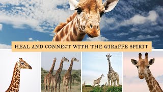 Gentle 5Minute Energy Healing  🦒 GIRAFFE Spirit Animal Guide [upl. by Haelem]