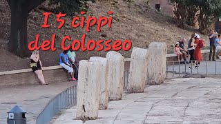 I cippi di pietra del Colosseo curiosità [upl. by Yarb578]