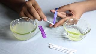 Make Your Own Litmus Paper at home by Smrithi [upl. by Aihtiekal]